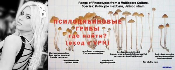 мяу мяу кристалл Нязепетровск