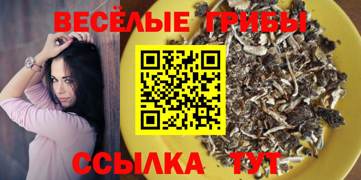 Галлюциногенные грибы GOLDEN TEACHER  Коряжма 